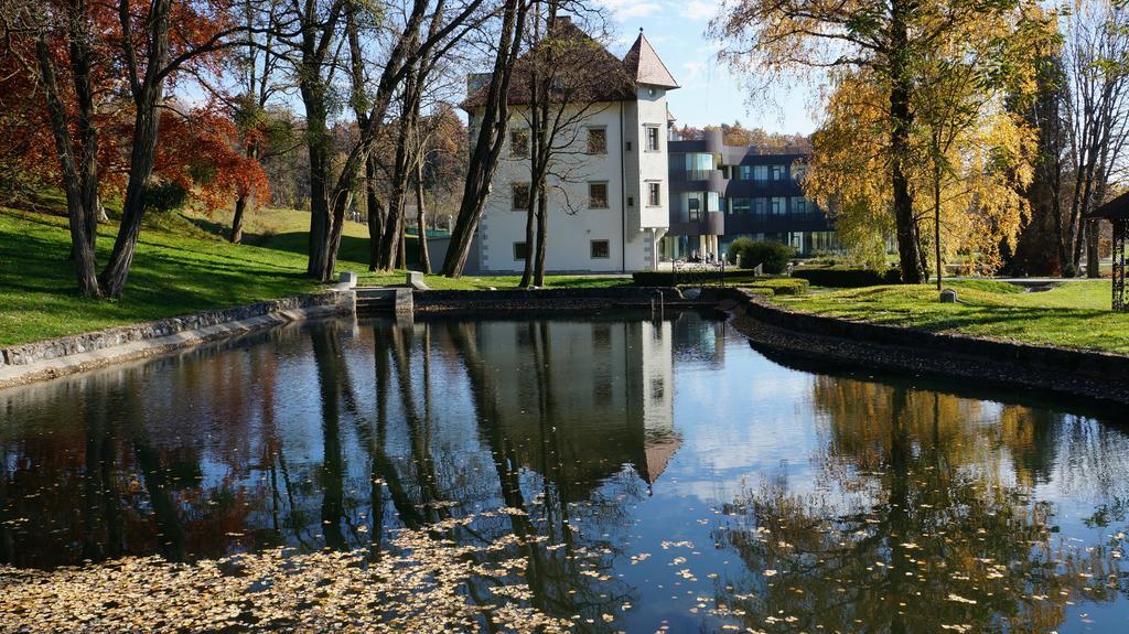 Lambergh Chateau & Hotel Dvorska Vas Eksteriør bilde